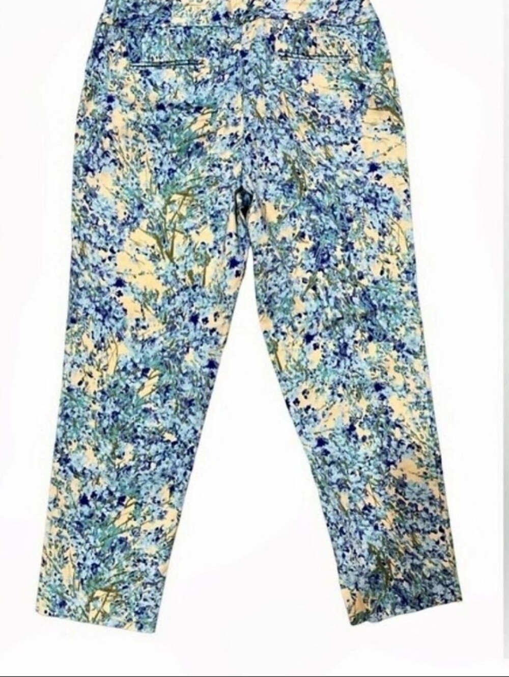 TALBOTS Signature Front Zip floral Watercolor Green Blue ankle Pants Size 10